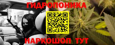 индика Гусев