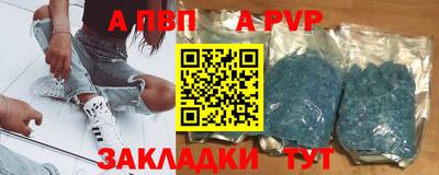 индика Гусев