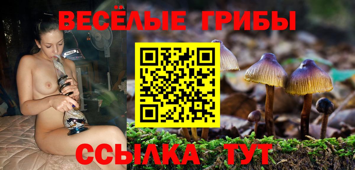 Псилоцибиновые грибы ЛСД Москва